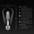800 Lumens - 8.5 Watt - 2700 Kelvin - LED Edison Filament Bulb - 5.5 in. x 2.5 in. Thumbnail