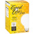 3.2 in. Dia. - LED G25 Globe - 5 Watt - 40 Watt Equal Thumbnail