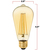 500 Lumens - 6 Watt - 2200 Kelvin - LED Edison Filament Bulb - 5.5 in. x 2.51 in. Thumbnail