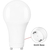 1100 Lumens - 11 Watt - 5000 Kelvin - LED A19 Light Bulb Thumbnail