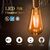 500 Lumens - 6 Watt - 2200 Kelvin - LED Edison Filament Bulb - 5.5 in. x 2.51 in. Thumbnail