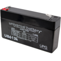 UB613 AGM Battery SLA