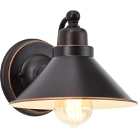 7 in. x 8.5 in. Wall Sconce Fixture - Bronze Shade - Bronze Finish - Bridgeview Collection - Uses (1) Incandescent or LED Bulb - Medium Base - 120 Volt - Nuvo 60-1709