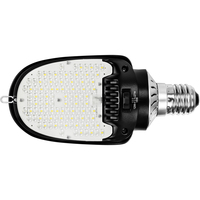 LED AREA LT SLCT RETRO 27W BLK