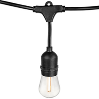 24 ft. Patio Stringer - Comes with (12) LED S14 Light Bulbs - Black Wire - (12) Suspended Medium Base Sockets - 24 in. Socket Spacing - Male to Female Plug Connection - PLT-13556