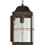 17 in. Outdoor Wall Sconce Fixture - Seeded Glass - Bronze Finish Thumbnail