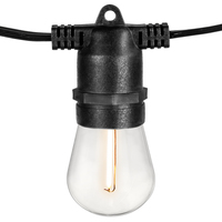 LED S14 1W 24BULB INLINE STNGR
