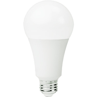 LED A23 27W 5000K