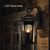 14.5 in. LED Outdoor Wall Sconce Fixture - Flame Lantern - Water Glass Lens - Bronze Finish Thumbnail