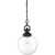 18 in. x 10 in. Pendant Fixture - Clear Glass - Bronze Finish Thumbnail