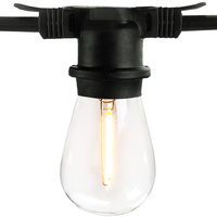 15 Light Blk Wire 120V Patio