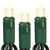 LED Mini Light Stringer - 25 ft. - (50) LEDs - Warm White - 6 in. Bulb Spacing - Green Wire Thumbnail