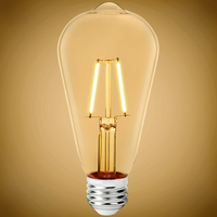 250 Lumens - 2.5 Watt - 2700 Kelvin - LED Edison Filament Bulb - 5.5 in. x 2.5 in. - Clear - 25 Watt Equal - 120 Volt - PLT-12670