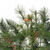 3 ft. Christmas Wreath Thumbnail