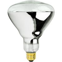 120V 250W Clear Heat Lamp