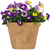 45 in. Wide Purple and Yellow Petunia Topiary - UV Resistant Thumbnail