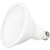 Natural Light - 1500 Lumens - 19 Watt - 3000 Kelvin - LED PAR38 Lamp Thumbnail