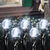 4 ft. x 6 ft. - (96) Bulbs - LED - Cool White Cherry Drop Net Lights Thumbnail