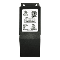 100W 12V MAGNETIC Outdoor