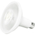 1100 Lumens - 13 Watt - 3000 Kelvin - LED PAR38 Lamp Thumbnail