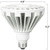 3000 Lumens - 30 Watt - 5000 Kelvin - LED PAR38 Lamp Thumbnail